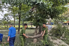 Hoạt động ý nghĩa tạo dựng không gian xanh, sạch đẹp, an toàn cho người dân và trẻ em vui chơi