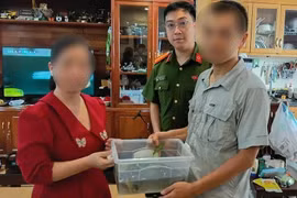 Vận động một hộ dân bàn giao 2 cá thể rùa cổ sọc thuộc nhóm động vật quý hiếm