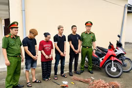 Nhóm thanh niên "nghiện game" chuyên trộm cắp tại các công trình, dự án