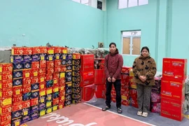 Cảnh sát hình sự Hà Nội phá đường dây mua bán hơn 6 tấn pháo nổ