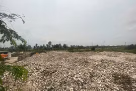 Khởi tố người phụ nữ đổ 324.500 kg vỏ hàu ra môi trường 