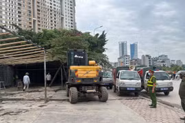 Ban Chỉ đạo 197 phường Yên Nghĩa đã xây dựng kế hoạch cụ thể, tổ chức lực lượng kiểm tra toàn diện các khu đất công ích, đất nông nghiệp và khu vực có dấu hiệu vi phạm