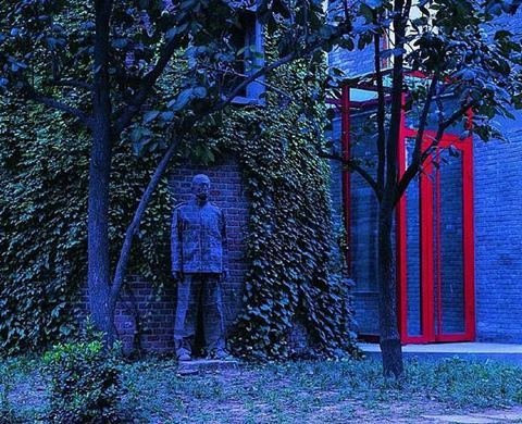 Chùm ảnh khó tin về "người tàng hình" ảnh 6