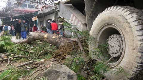 Chiếc cần cẩu hạng nặng dùng toàn bộ lực để húc đổ cây phượng. Chiếc cần cẩu hạng nặng dùng toàn bộ lực để húc đổ cây phượng.