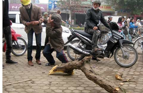 Cành cây dài khoảng 2m đập vào đầu, làm ông Võ Huy Đức chết ngay tại chỗ. Cành cây dài khoảng 2m đập vào đầu, làm ông Võ Huy Đức chết ngay tại chỗ.