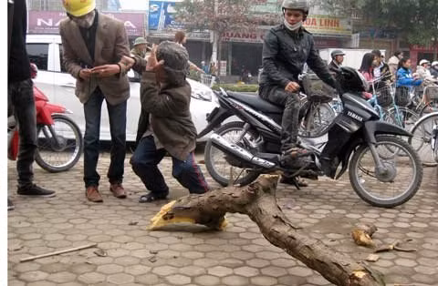 Cành cây dài khoảng 2m đập vào đầu, làm ông Võ Huy Đức chết ngay tại chỗ.