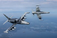 Máy bay huấn luyện - chiến đấu L-159 'lột xác' sau gói nâng cấp lớn