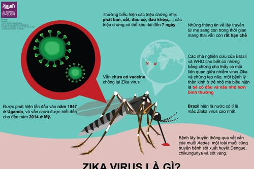 Bệnh nhân nhiễm Zika tại TP Hồ Chí Minh đang mang thai 8 tuần