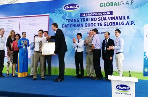 Trang trại bò sữa đầu tiên tại Đông Nam Á được chứng nhận đạt tiêu chuẩn quốc tế