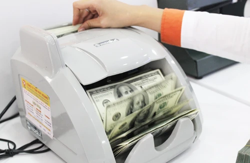 Tín dụng ngoại tệ tăng nằm trong tính toán của NHNN