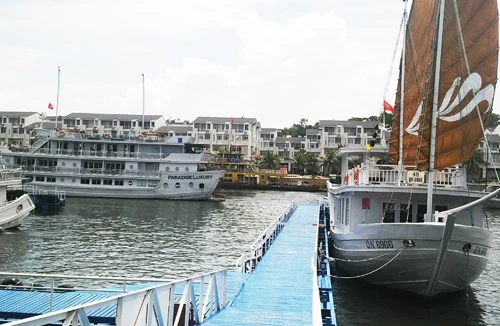 LienVietPostBank tài trợ 10.000 tỷ đồng cho các dự án của Tập đoàn Tuần Châu