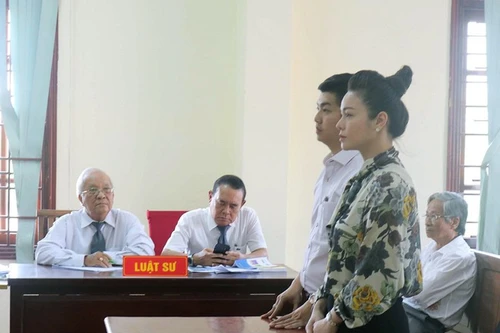 Vụ kiện Nhật Kim Anh giành quyền nuôi con: Hủy án sơ thẩm!