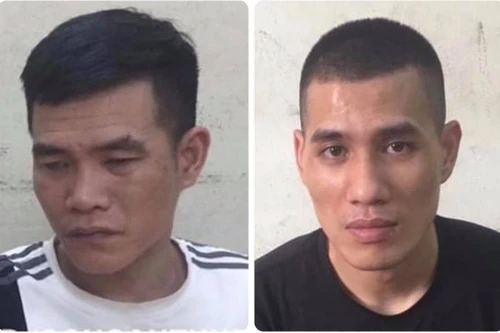 Hai gã 'nghiện' dùng cuốc đập kính xe ô tô trộm tài sản