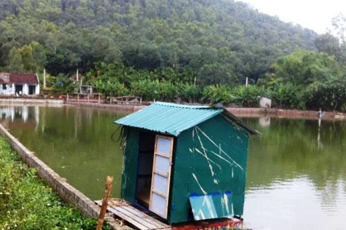 Bị quây bắt, các 'con bạc'...tá hỏa nhảy xuống ao 