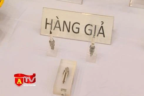 Đề xuất các giải pháp mới phòng, chống hàng giả, xâm phạm quyền sở hữu trí tuệ