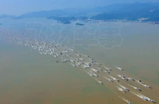 Đối sách TQ với Hoa Đông có khác biển Đông?