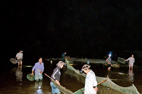 Trúng đậm vụ rươi