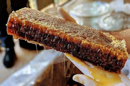 Loại mật ong đắt nhất thế giới, được mệnh danh là "Mật ong của các vị thần"