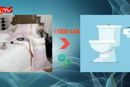 Vỏ gối chứa lượng vi khuẩn gấp 17.000 lần so với bồn cầu