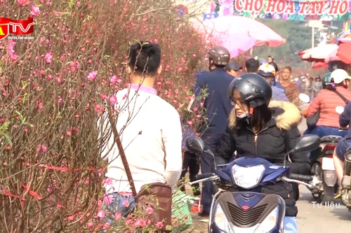 Hà Nội: Tổ chức 83 chợ hoa phục vụ Tết Nguyên đán