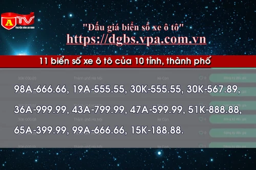 Phiên đấu giá trực tuyến biển số xe ô tô đầu tiên diễn ra ngày nào?