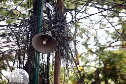 Kỳ lạ những trụ cột điện “lớn lên” theo thời gian