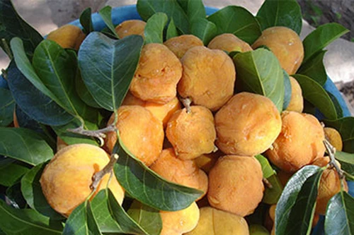 Bỗng gặp quà quê trên phố