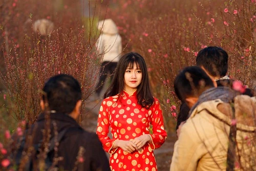 Việt Nam lọt vào bộ ảnh ấn tượng của hãng tin quốc tế