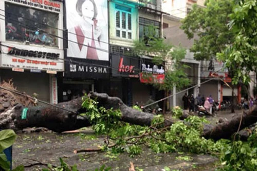 7 người chết và mất tích do bão Mirinae