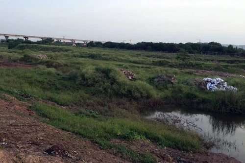 Điều tra, xử lý nghiêm vụ đổ chất thải xuống hành lang xả lũ sông Hồng