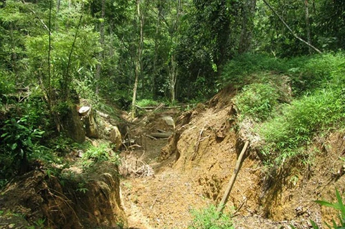 3 phu vàng bị ngạt khí độc, mắc kẹt dưới hang sâu