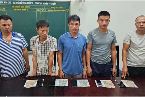 Triệt xóa ổ nhóm đánh bạc bằng hình thức chọi trâu