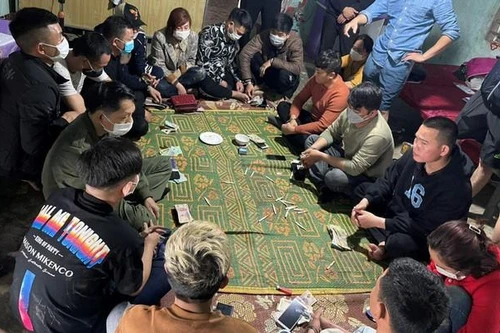 Triệt phá ổ nhóm đánh bạc trong trại lợn