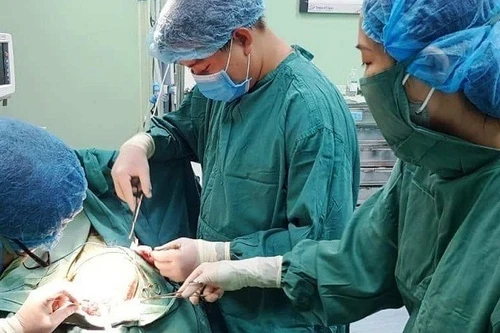 Bé trai 5 tuổi bị chó nhà nuôi cắn rách da đầu