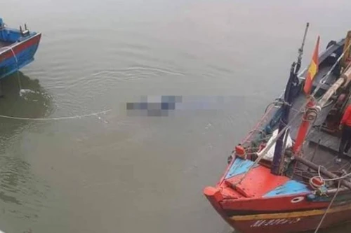 Đi đánh cá, phát hiện thi thể nam thanh niên trên biển