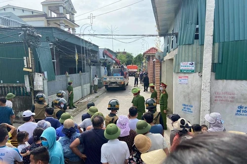 Phát hiện 17 cá thể hổ trưởng thành được nuôi nhốt trong nhà dân