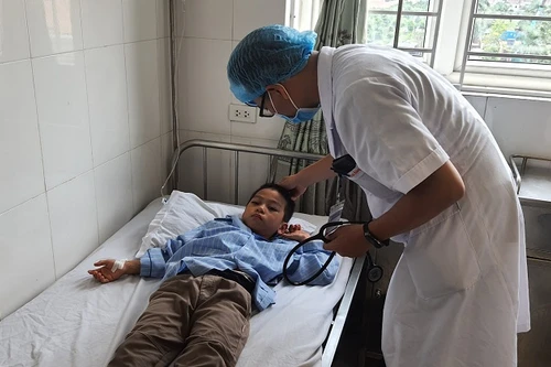 16 học sinh tiểu học nhập viện vì bị ong đốt