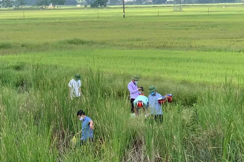 Nghi mẹ sát hại con gái rồi lên đường tàu tự tử