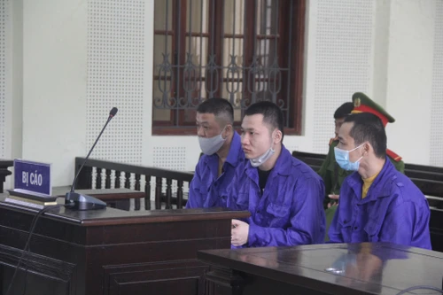 Chú thuê cháu đi vận chuyển ma túy 