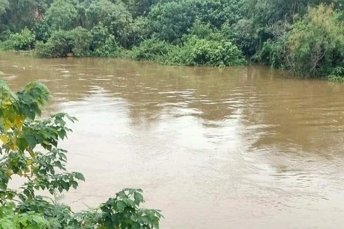 Phát hiện mẹ bỏ con mới sinh vào thùng xốp rồi thả trôi sông