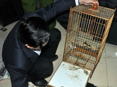 Khuất phục trùm ma tuý "Bố Siêu"