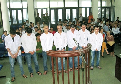 Những con "thiêu thân" trả giá vì quá... say mồi