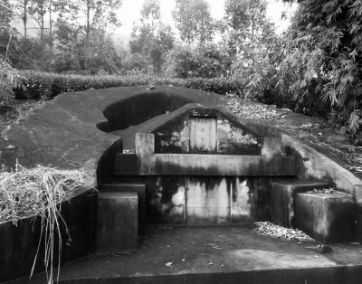 Phát hiện mộ cổ chôn lợn nái 900 năm tuổi