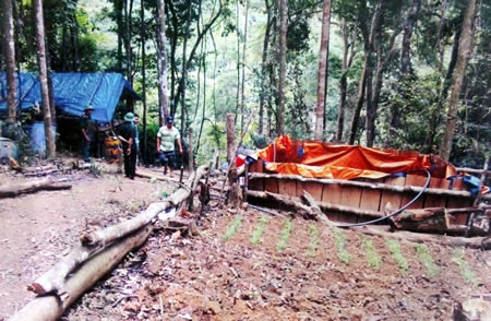 Phu vàng hỗn chiến, một người chết trong rừng thẳm