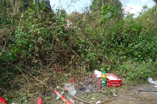 Bị chém chết khi đi mua trâu hộ anh trai