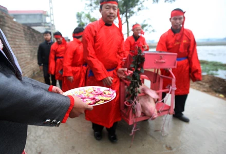Lễ hội chém lợn: Hủ tục ghê rợn cần loại bỏ!