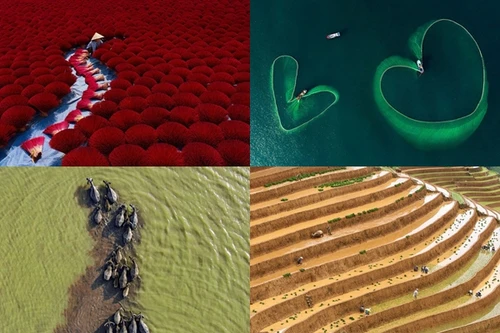 [ẢNH] Giải Agora 2019: Bốn bức ảnh Việt Nam lọt top 50 khoảnh khắc đẹp nhất thế giới