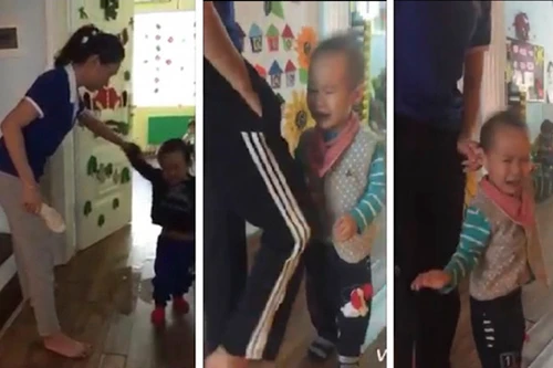 Vụ cô giáo dùng dép "gõ đầu trẻ": Đình chỉ cơ sở mầm non Sen Vàng để làm rõ sai phạm