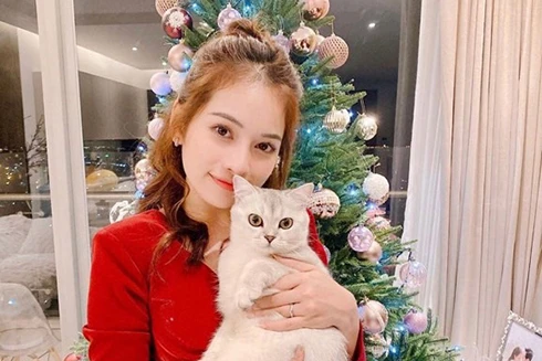 [ẢNH] Sao Việt "thi nhau" tung ảnh trang trí nhà đón Giáng Sinh