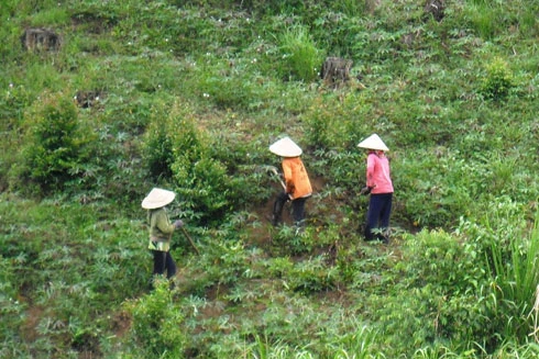 Bi kịch những thiếu nữ bị phụ tình, vô vọng ôm con đợi gã sở khanh